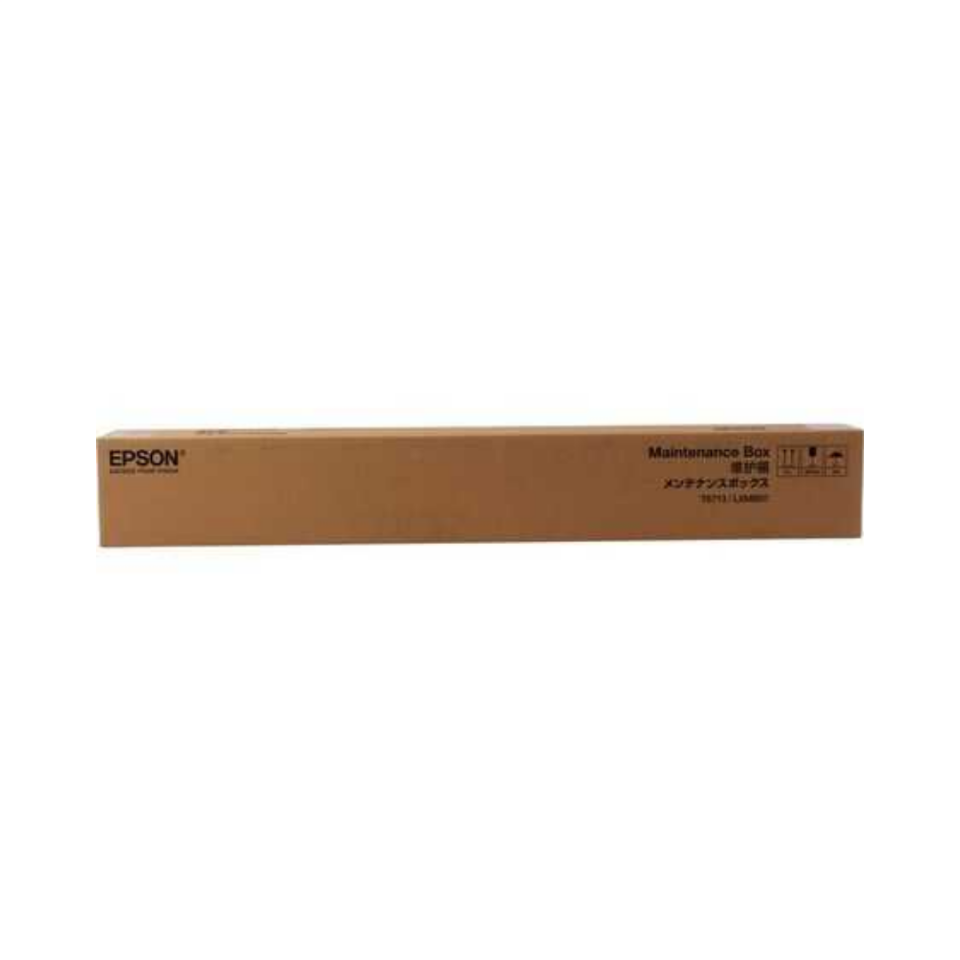 Epson T6713 Orjinal Atık Kutusu